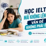 Xây Dựng Lộ Trình Học IELTS Cho Người Mới Bắt Đầu Như Thế Nào?
